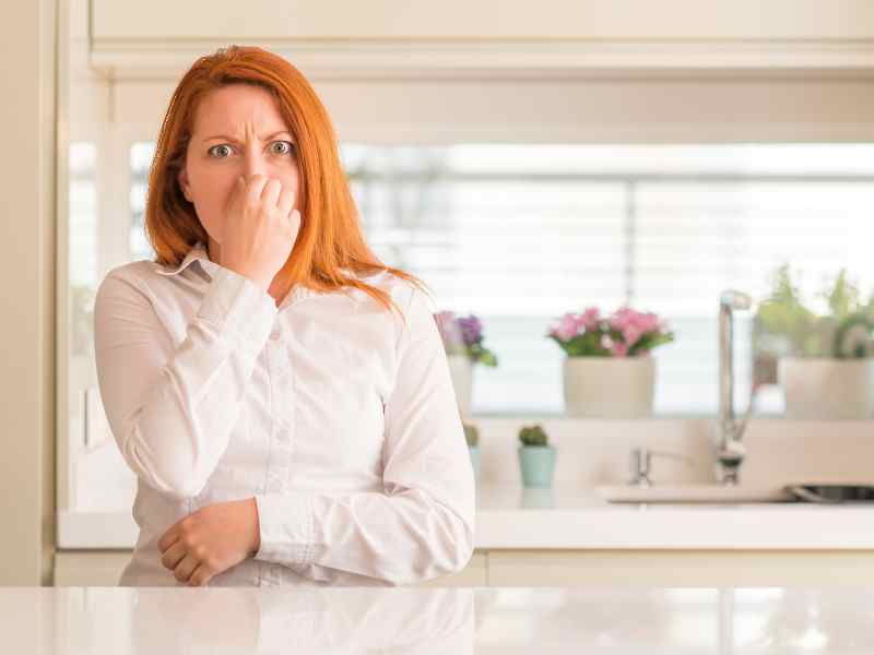 30 POSSIBLE REASONS WHY YOUR HOME SMELLS BAD AND HOW TO FIX IT