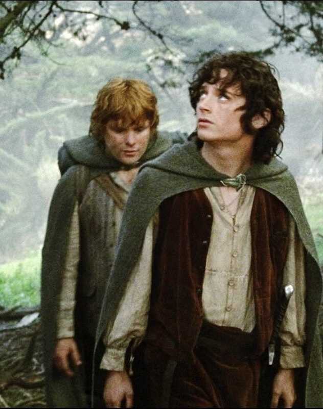 sam-and-frodo-halloween-costume-ideas-for-brothers