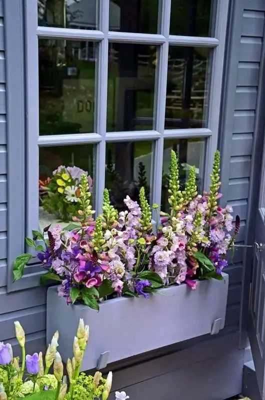 window-box-as-ways-to-incorporate-plants-into-small-outdoor-areas