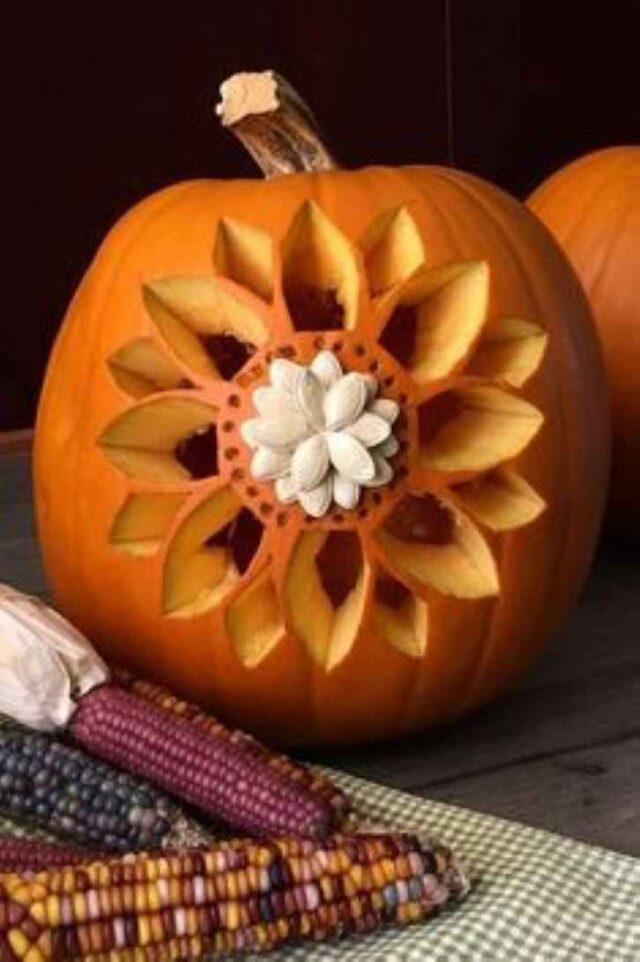 24 CREATIVE PUMPKIN CARVING IDEAS FOR BEGINNERS TO TRY - Anuri's Journey