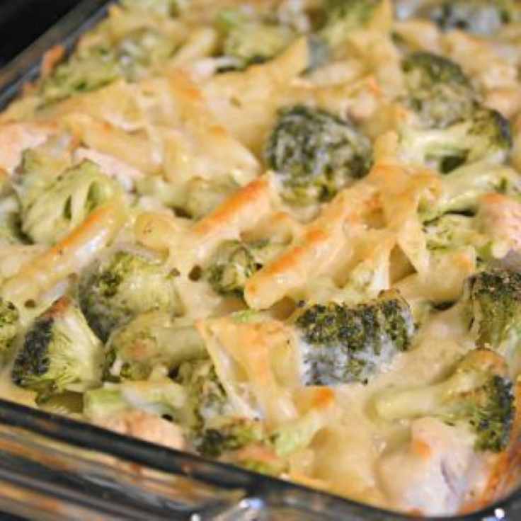 chicken-and-broccoli-alferedo-casserole