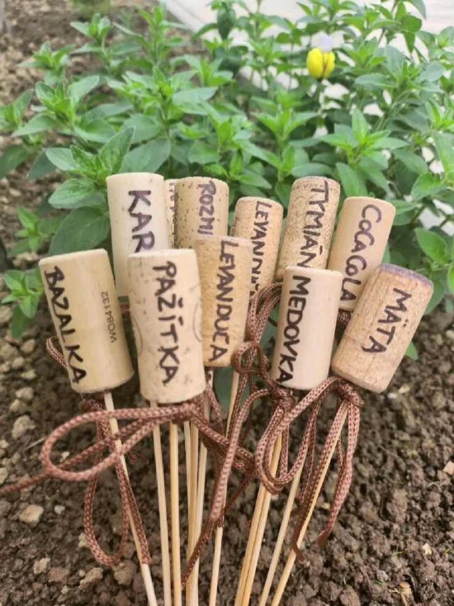 23 DIY GARDEN DECOR PROJECTS USING RECYCLED MATERIALS - Anuri's Journey