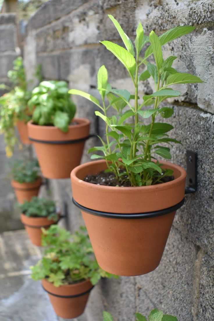 hanging-planter-outside