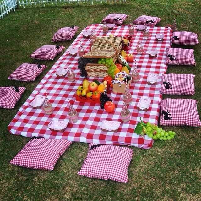 Picnic Blanket for budget friendly patio design