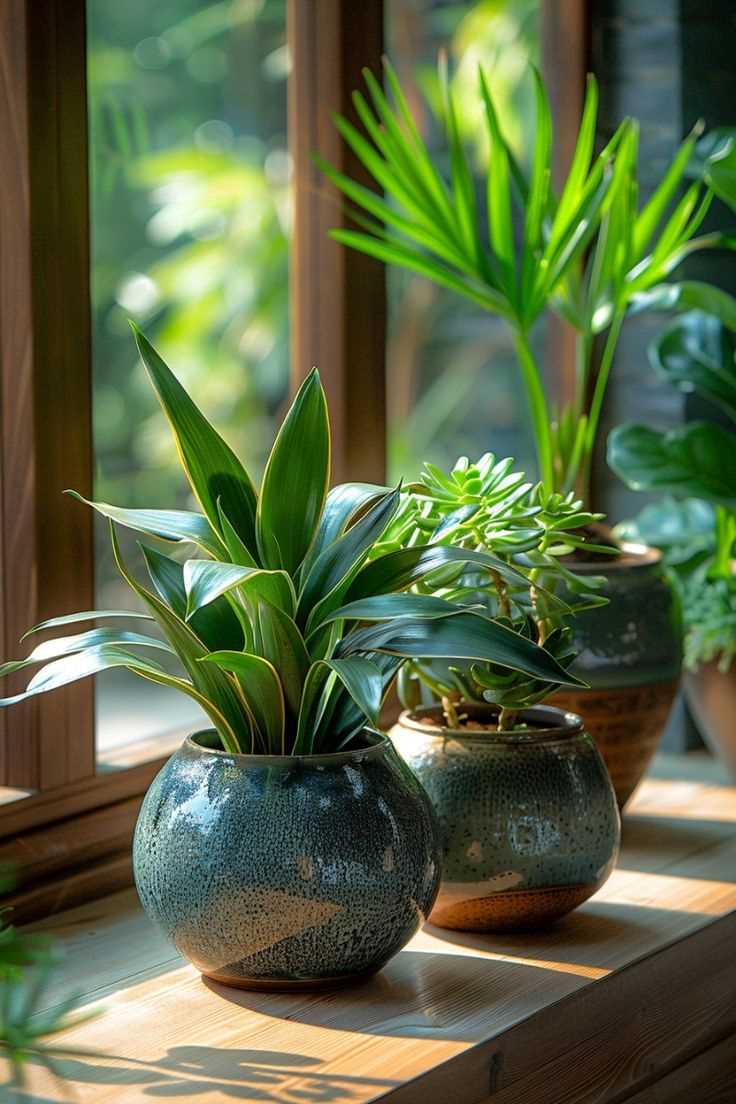 potted-plants-and-greenery-as-an-idea-to-enhance-your-patio-ambience