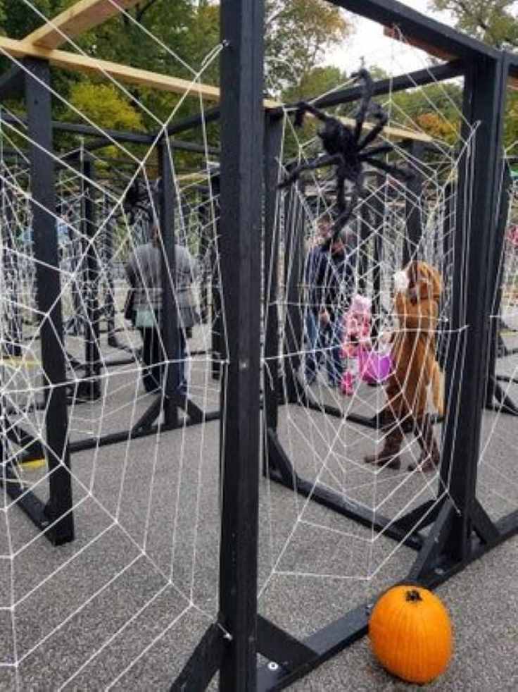 spider-web-obstacle-course