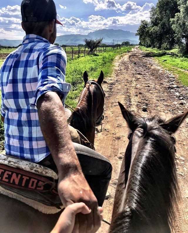 visiting-a-local-farm--as-a-fun-activities-for-couples 