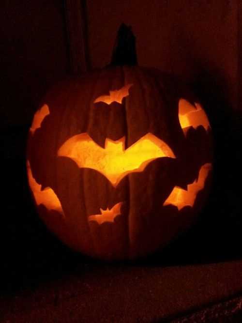 bats-in-flight-pumpkin-carving-ideas