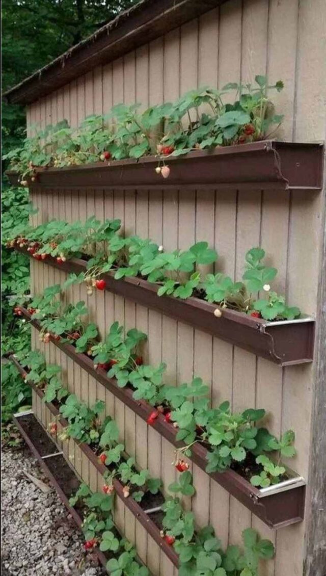 23 DIY GARDEN DECOR PROJECTS USING RECYCLED MATERIALS - Anuri's Journey