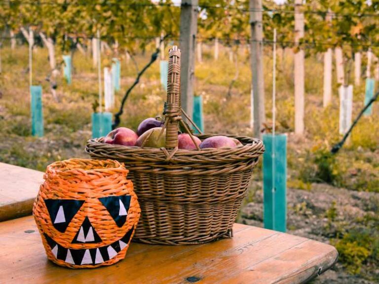 23 HALLOWEEN SPOOKY BASKET IDEAS FOR LOVED ONES