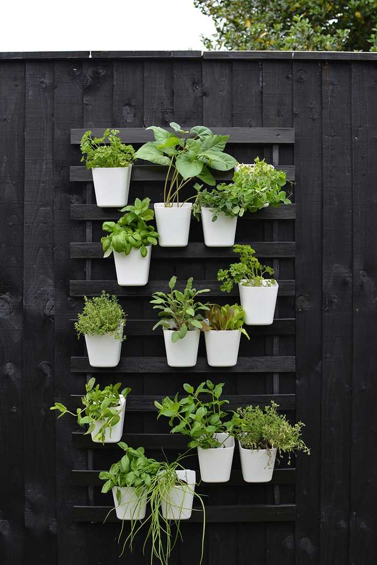 Vertical garden for small budget and minimalist patio idea 