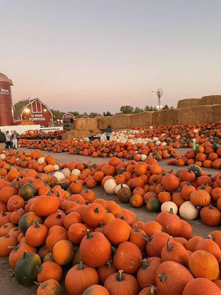 pumpkin-patch-visit