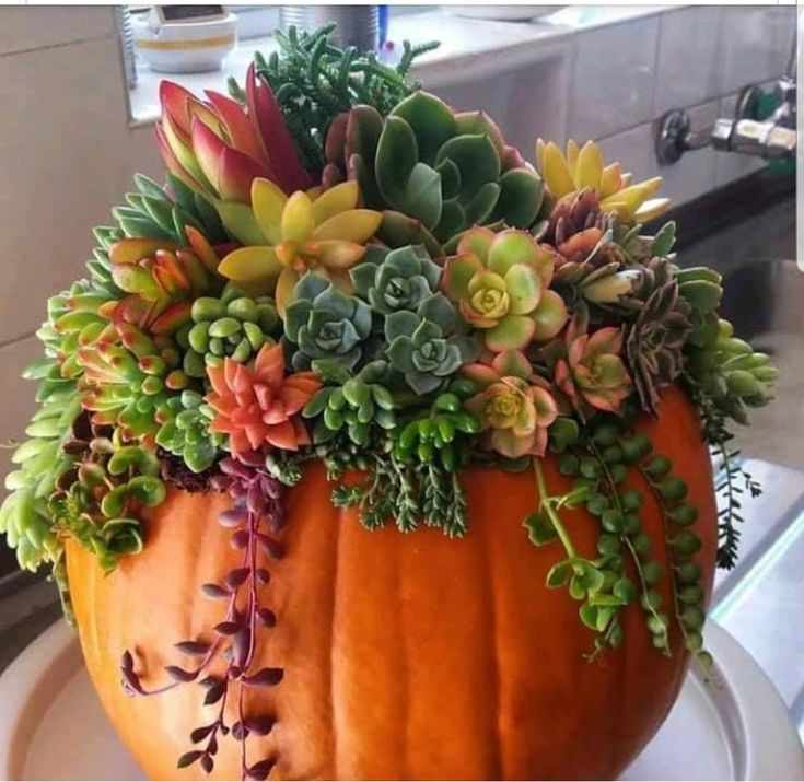 pumpkin-succulent-planter-thanksgiving-crafts-for-adults