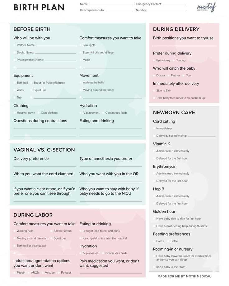 Birth Plan Template 