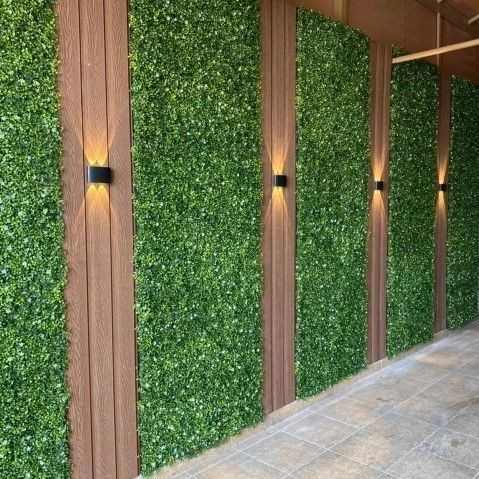 Green walls