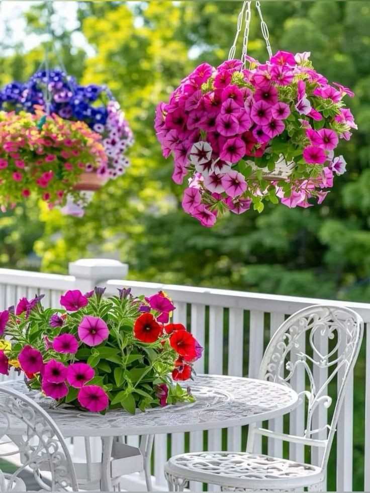  Hanging plants 