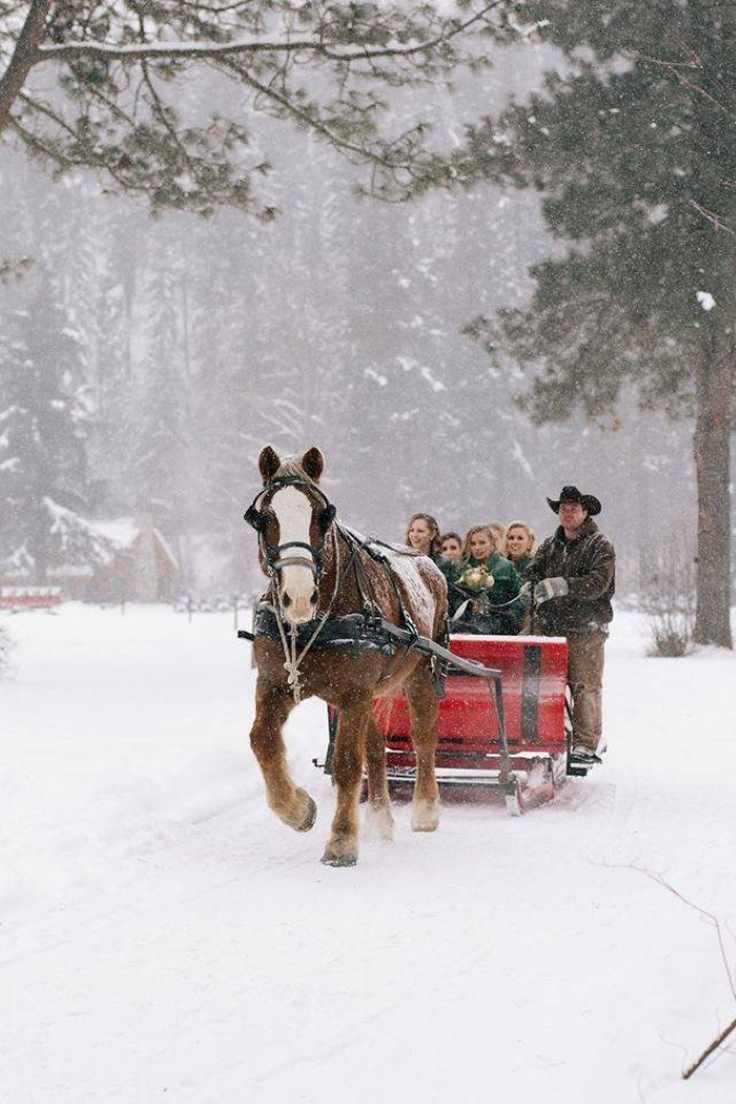 take-a-horse-drawn-sleigh-ride