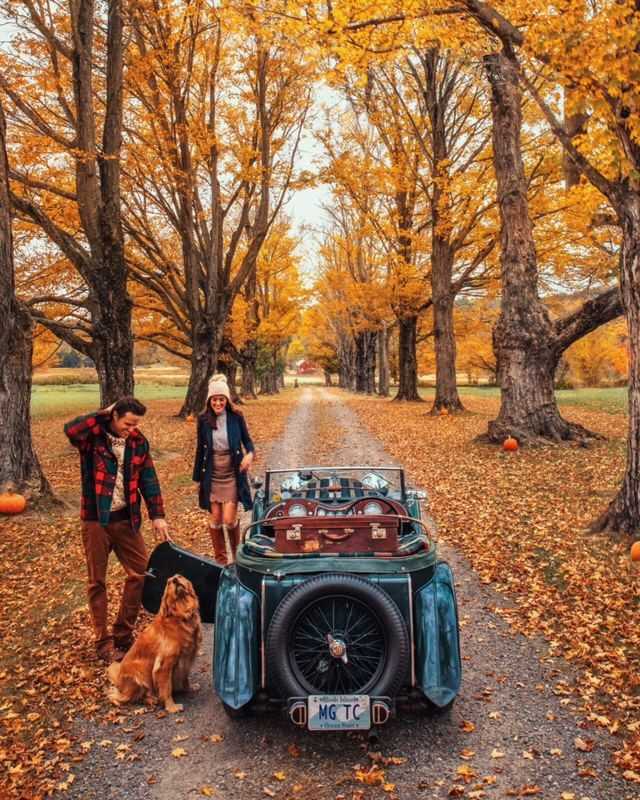 Going-on-a-road-trip