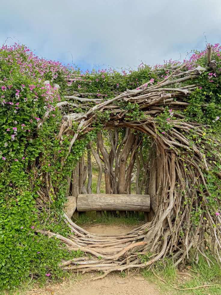 Salvaged wood pergolas