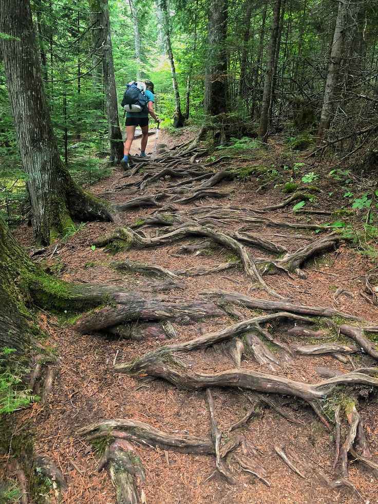 scenic-hiking-as-one-of-the-exciting-thing-to-do-for-thanksgiving-weekend 