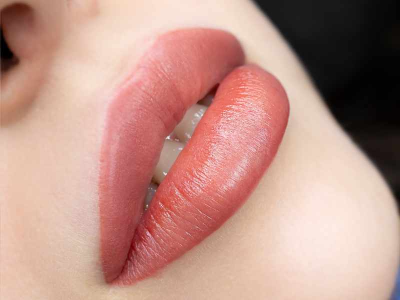 soft-brown-lips-makeup-ideas-for-thanksgiving