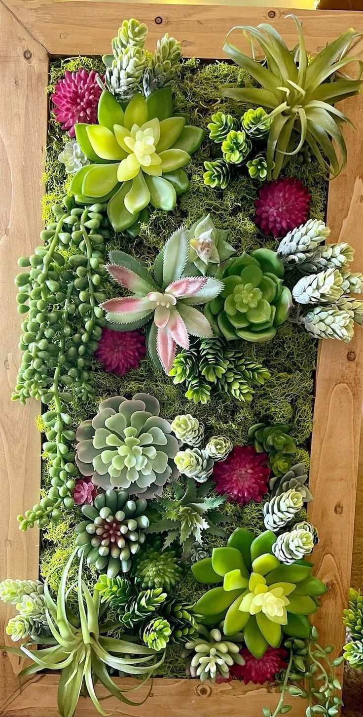 Succulent wall garden