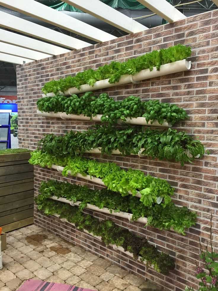 Vertical herb garden 