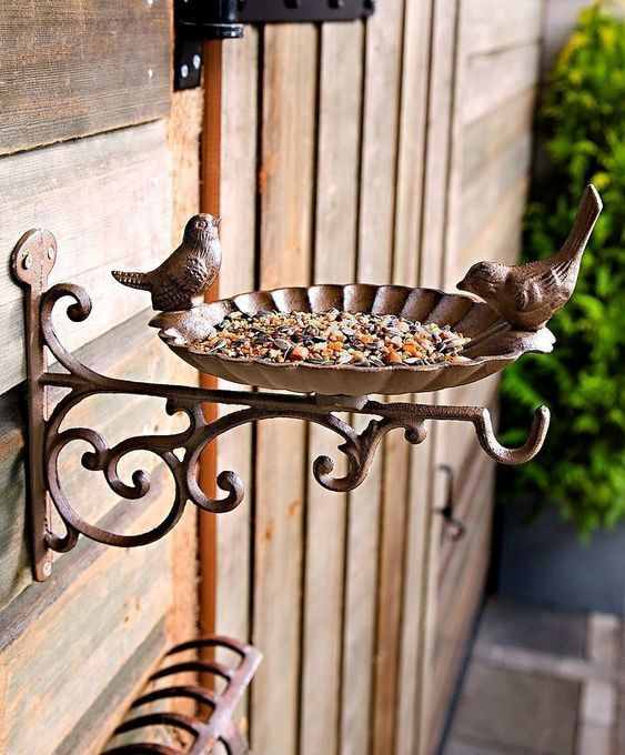 bird feeder