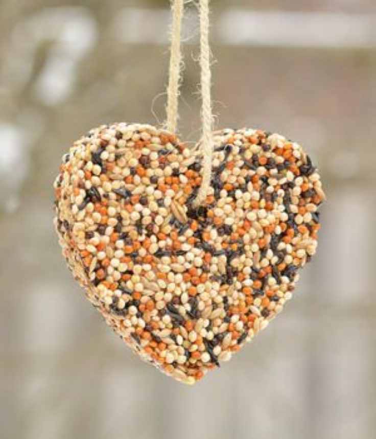 heart-shaped-bird-feeder-valentine's-day-crafts-for-kids