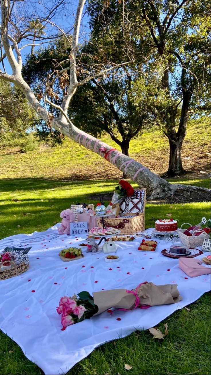 pick-the-right-time-how-to-plan-the-perfect-valentine's-day-picnic