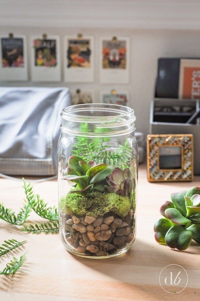 mason-jar-terrarium-diy-crafts