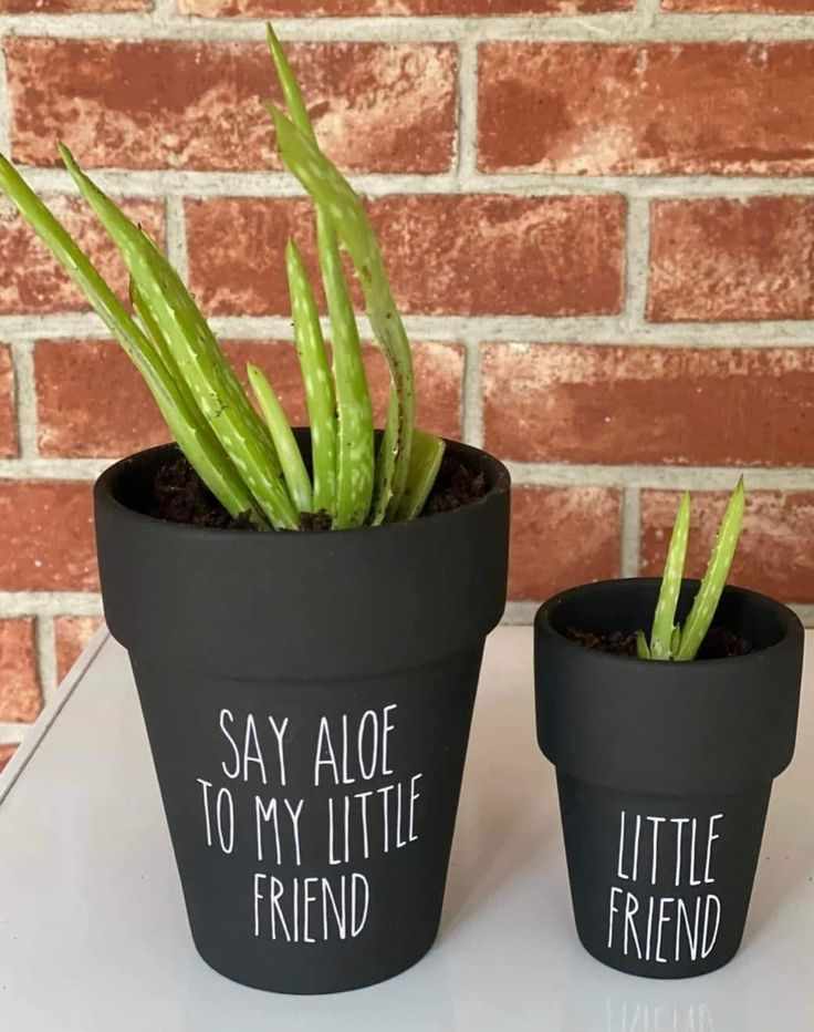 chalkboard-planters