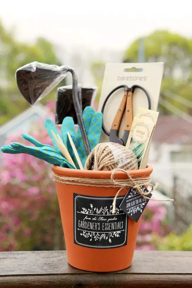 gardening-tools-and-seed