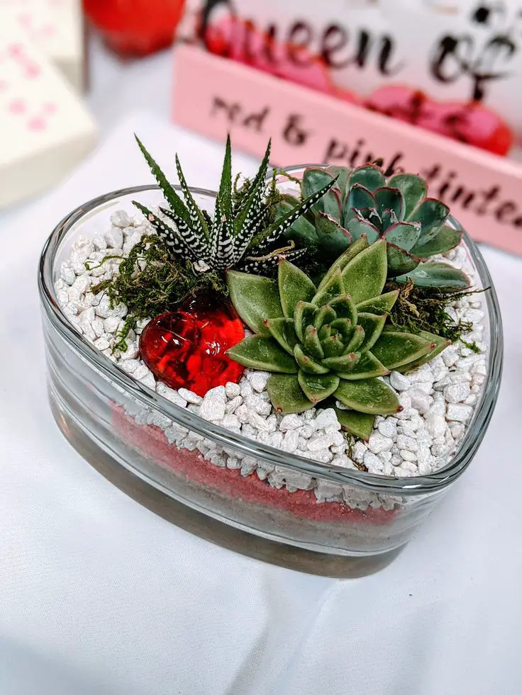 valentine's-day-terrarium