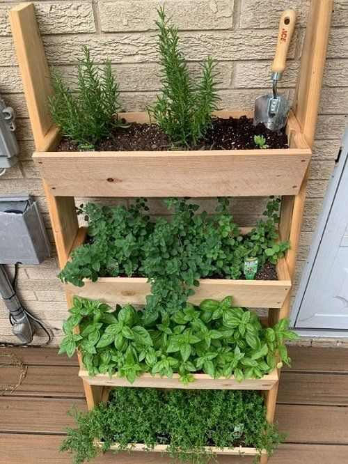 diy-herb-garden