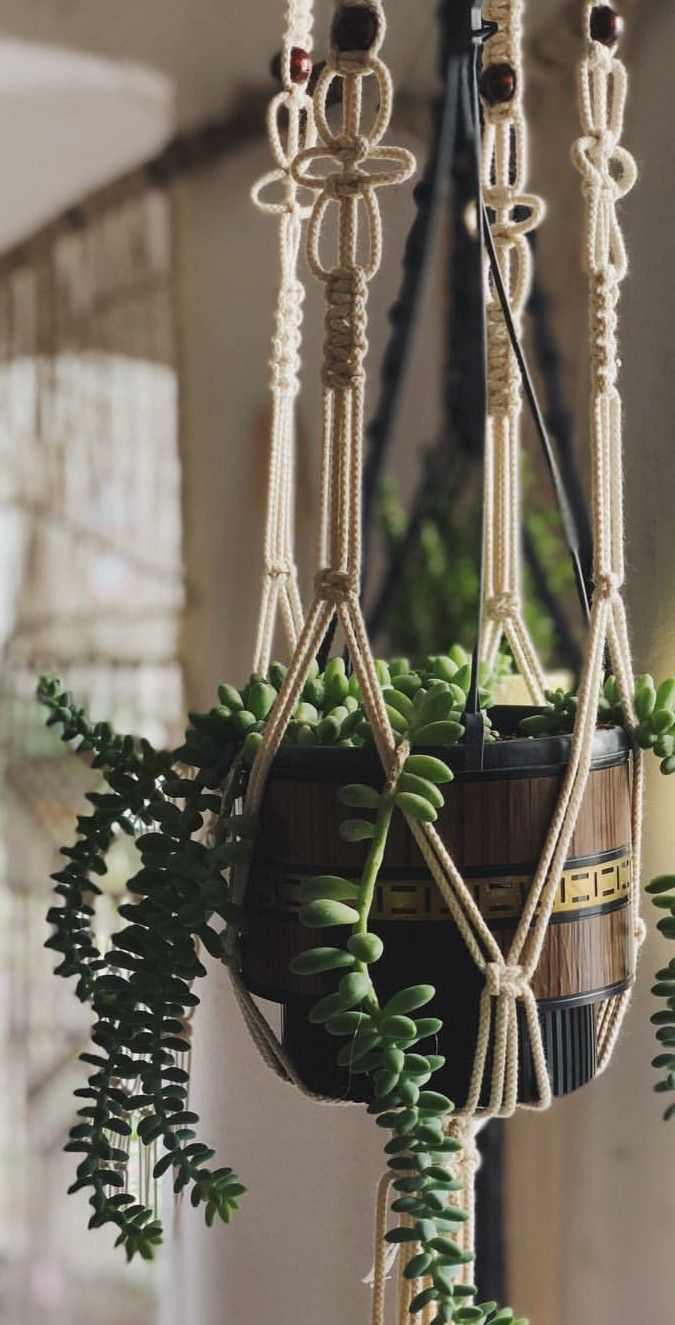 hanging-macrame-planter