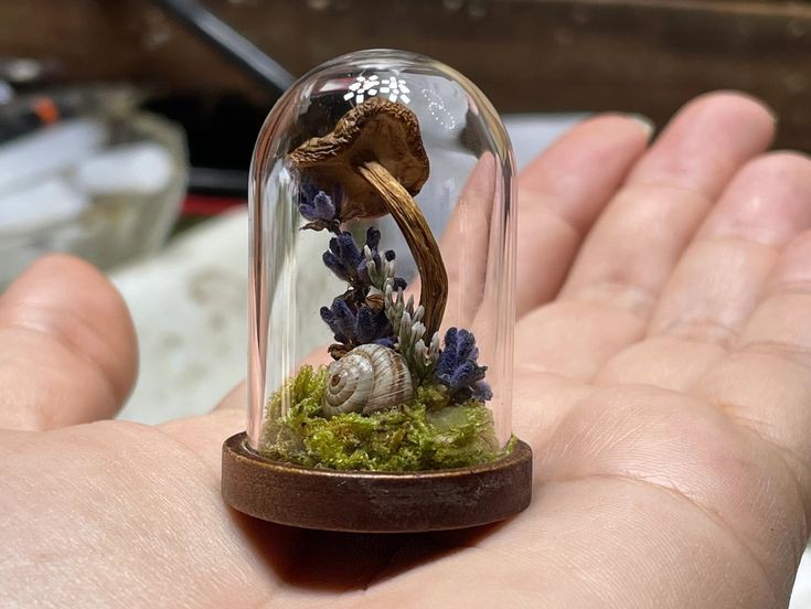 miniature-terrariums