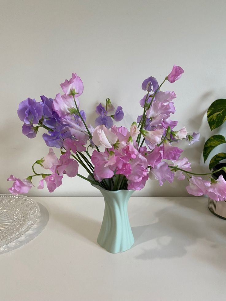 snapdragon-and-sweet-pea-vase