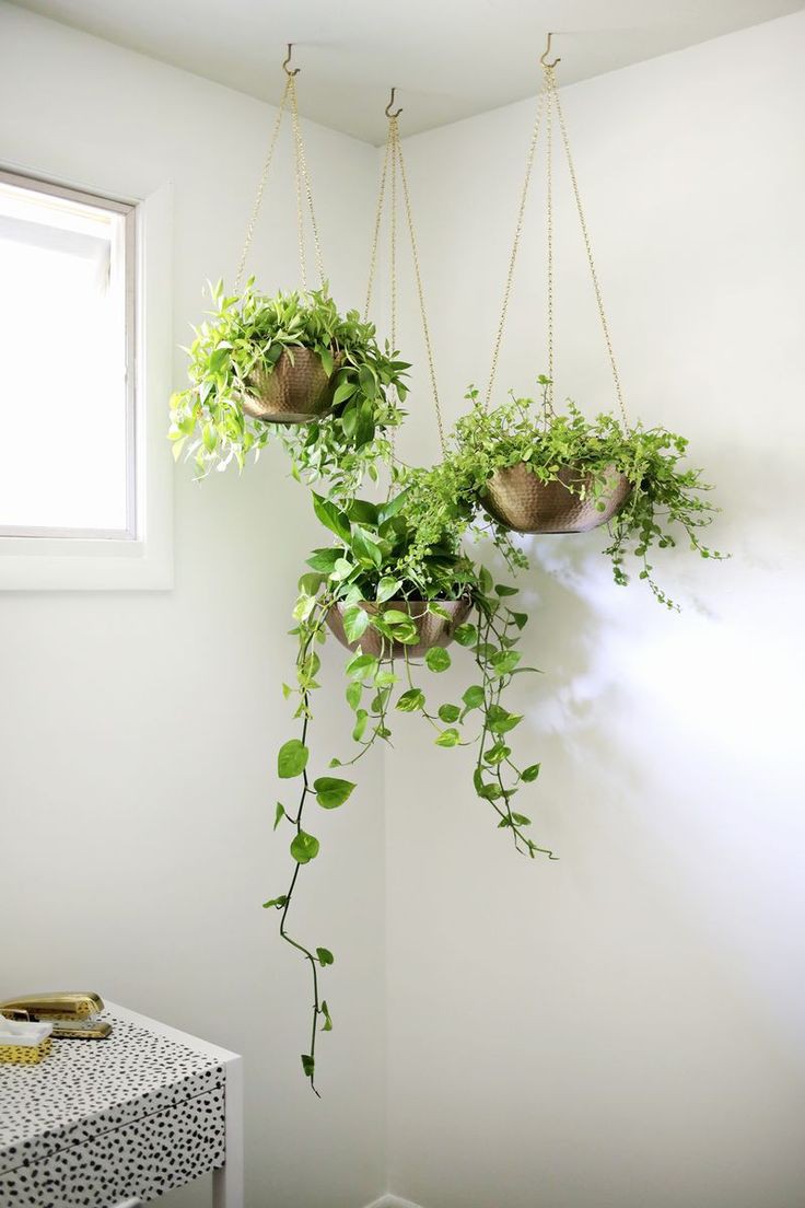 hanging-planters