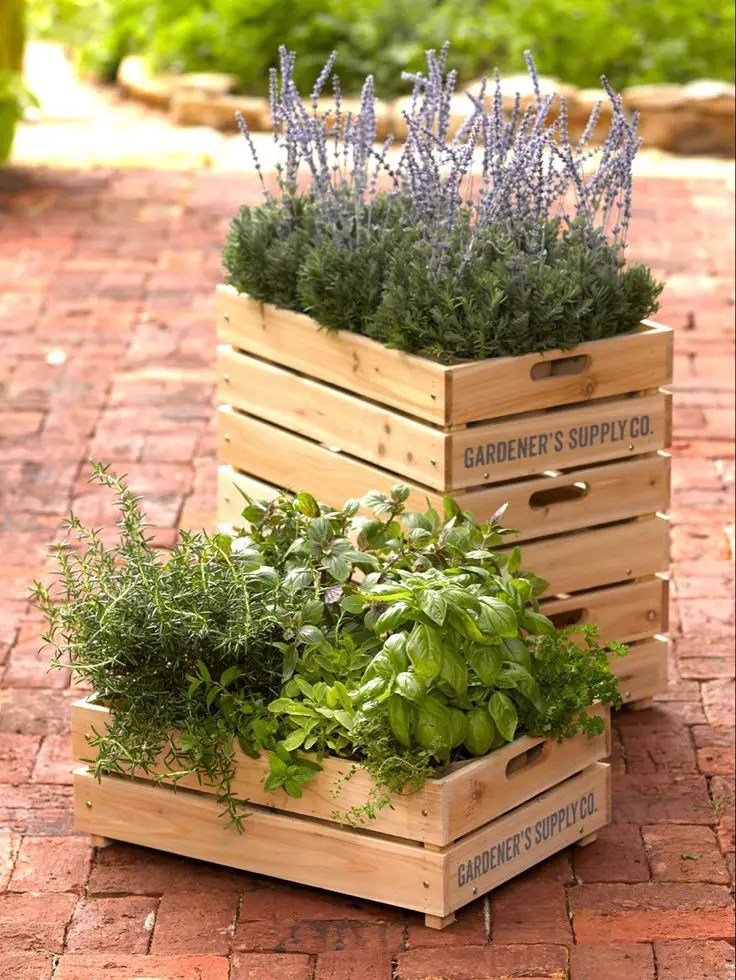 diy-herb-garden-in-wooden-crate