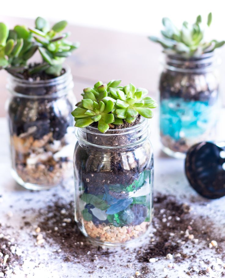 mason-jar-succulent-planters