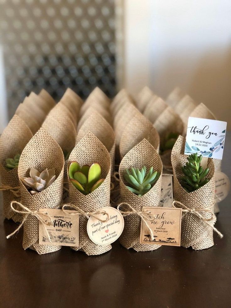 succulent-wrdding-favors-spring-wedding-ideas