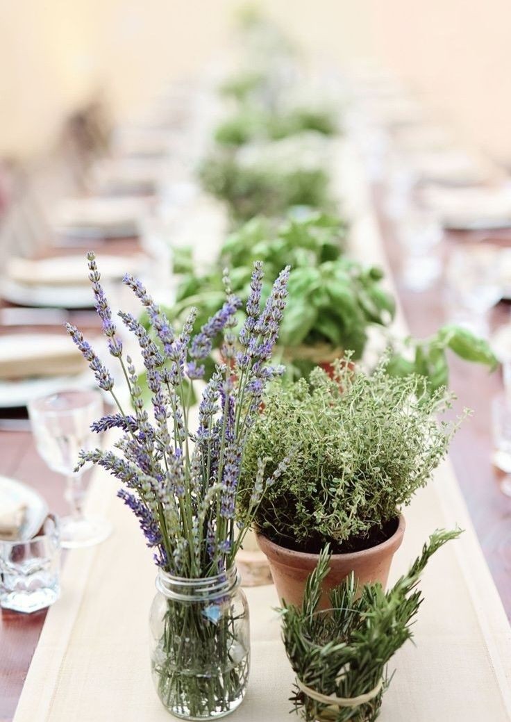 fresh-herb-decor