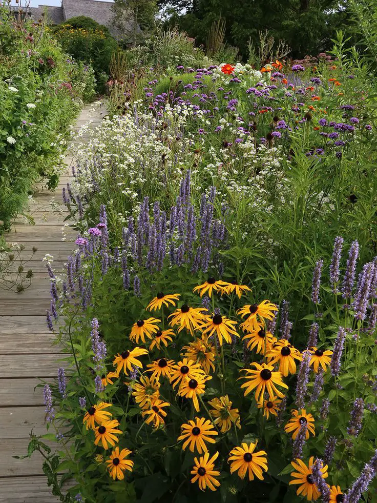 create-a-pollinator-garden-spring-garden-ideas