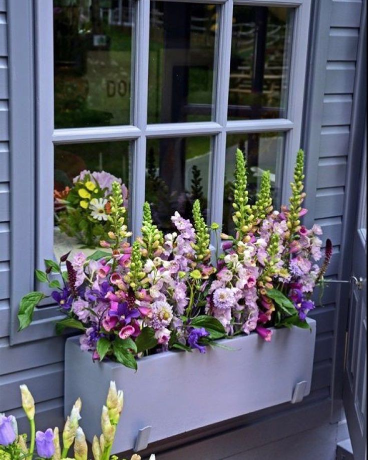 install-window-boxes