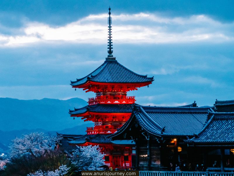 Cherry-Blossoms-and-Temples