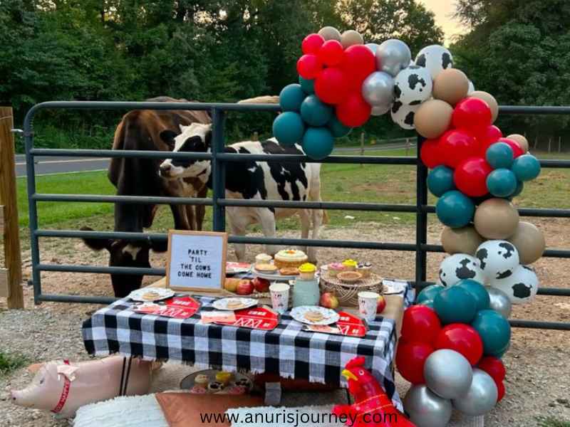 Farmyard-Fun-Party-as-27-Fun-and-Creative-Birthday-Party-Themes-for-Kids