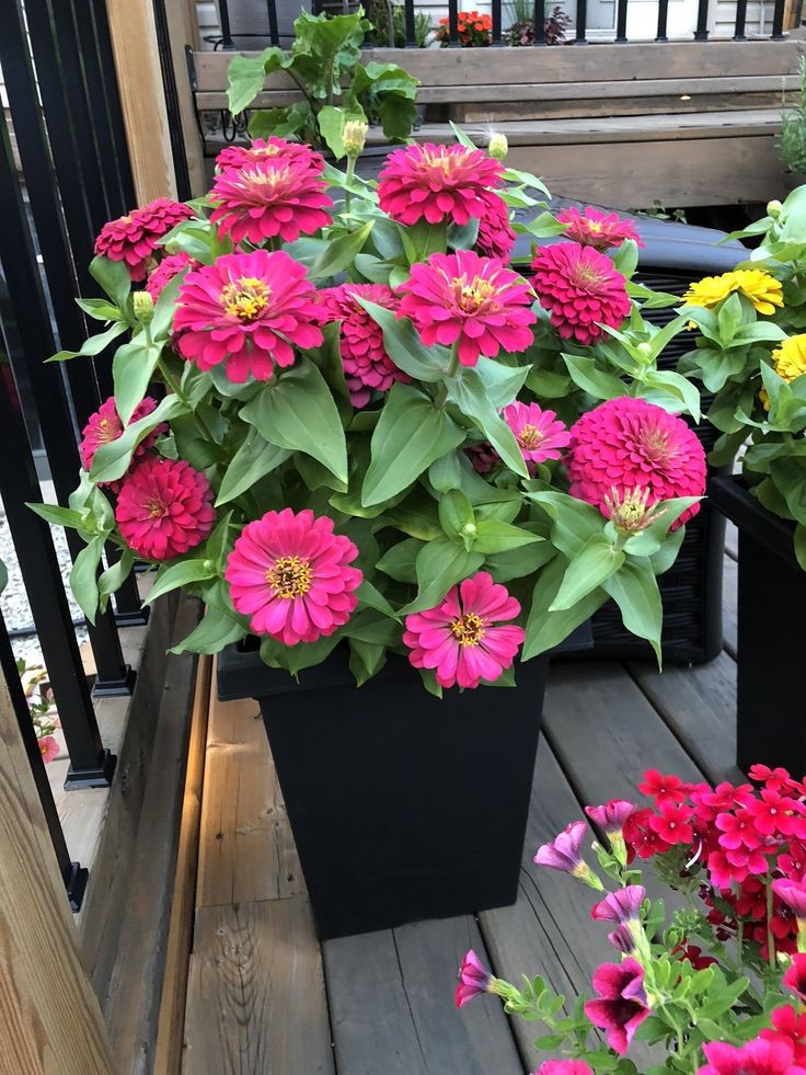 marigold-and-zinnia-bouquet-spring-flower-arrangements