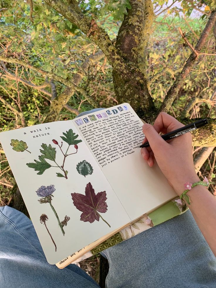 create-a-nature-journal