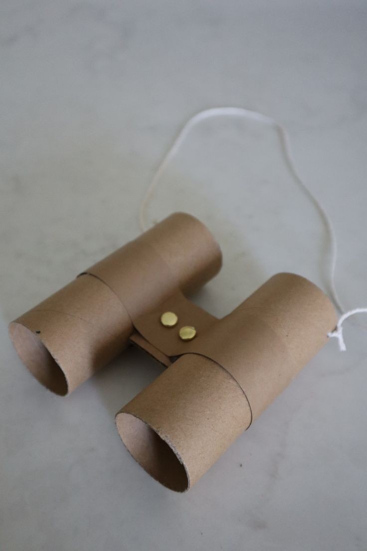 toilet-paper-roll-binoculars-crafts-for-kids